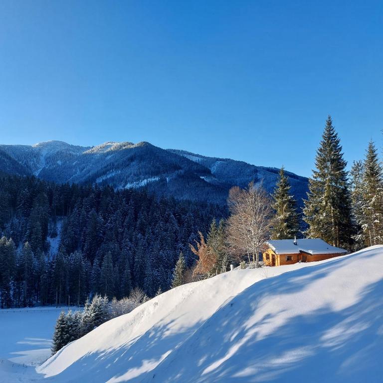Hütte Neuhaus - B&B Annaberg im Lammertal