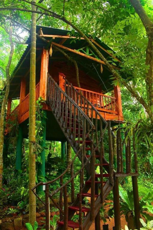 The Hidden Treehouse - Chambres d'hôtes Massalapitiya