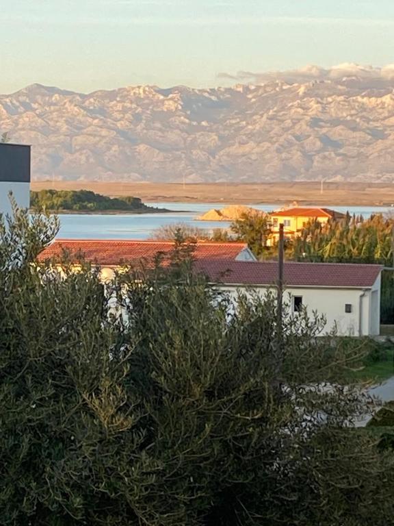 Apartman kraj mora Kelly - Chambres d'hôtes Privlaka