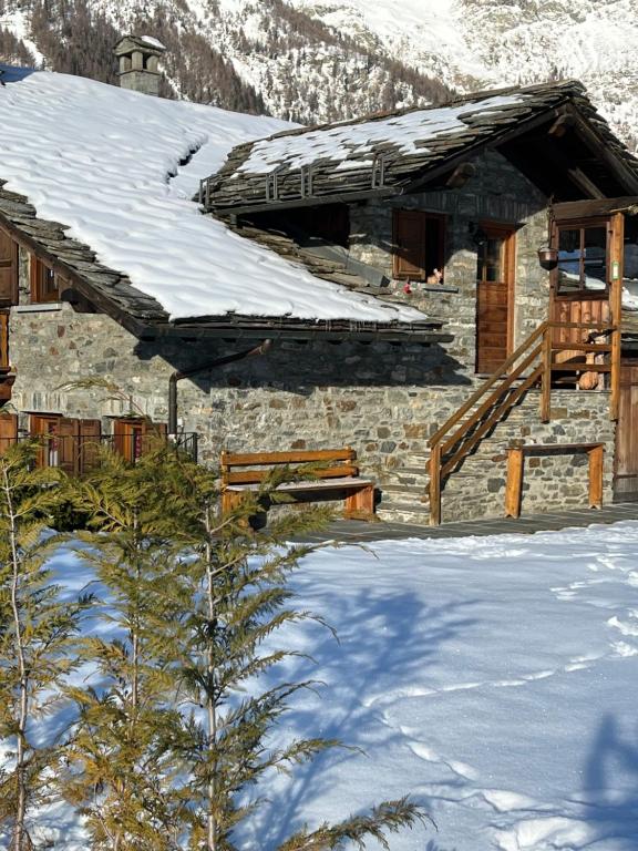 Flora Alpina apartments - Residenza Bieltschocke - B&B Gressoney-Saint-Jean
