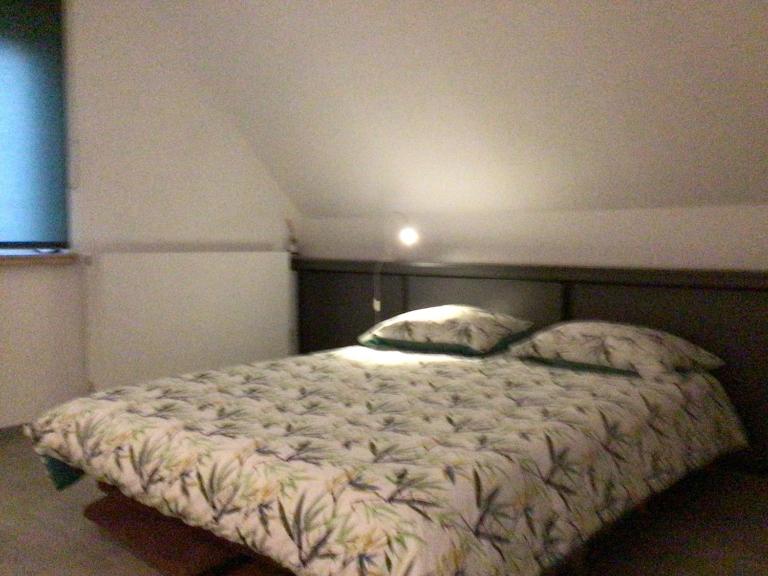 Cosy attic floor, terrace, 1 bedroom, double bed for 2 plus single bed if 3 guests - B&B Buggenhout