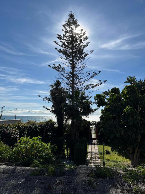 Gran Jardín frente al mar - B&B Rincón de la Victoria