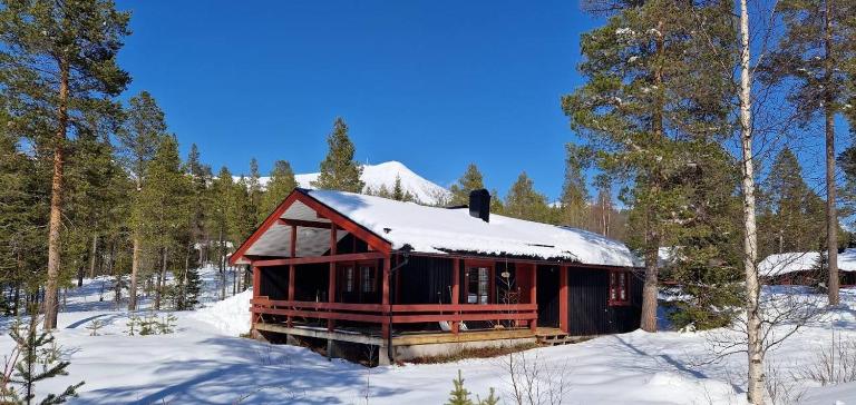 Sauna | Wi-Fi | Terrace | Wood stove | No Pets - B&B Lofsdalen