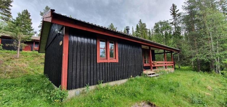 Sauna | Wi-Fi | Terrace | Wood stove | Cable TV - Ferienwohnung Lofsdalen