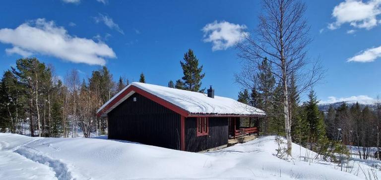 Sauna | Wi-Fi | Terrace | Wood stove | Cable TV - B&B Lofsdalen