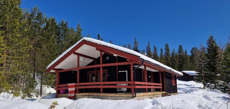 Sauna | Wi-Fi | Terrace | Wood stove | Cable TV - B&B Lofsdalen