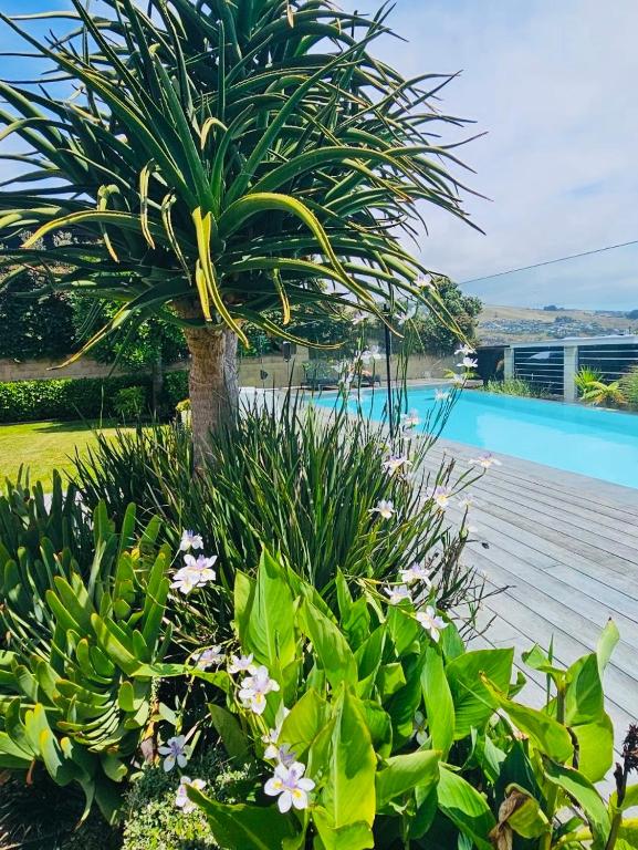 Sumner, Christchurch Luxury 2 Bdrm Ground Level Apt with Private Pool located on Scarborough Hill - B&B Christchurch