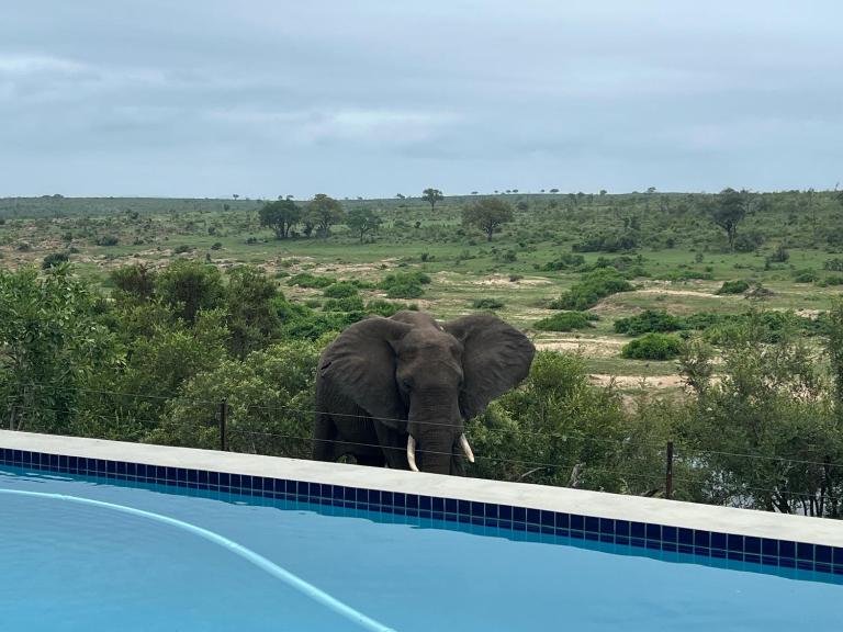 Horizons River Lodge Mjejane - B&B Hectorspruit