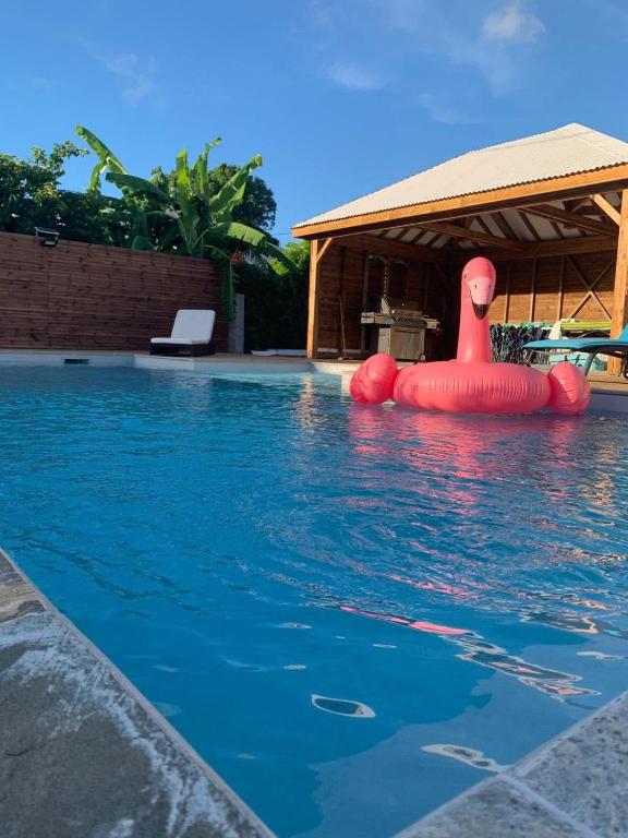 APPARTEMENT "Ti CABANE" villa Bel Kay Nou - B&B Sainte-Luce