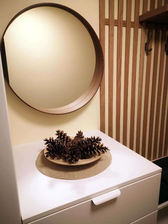 Pine Cone Apartment - Bed and Breakfast Jūrmala
