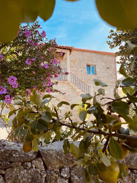 Vila Adelaide - Bed and Breakfast Campos