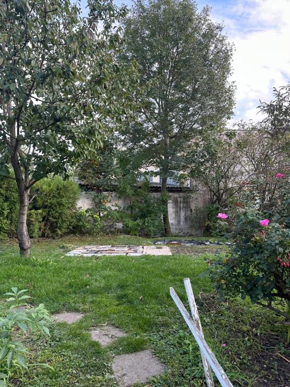 Wohnen mit Garten Lillys 3 oder Julis 1 - B&B Tulln