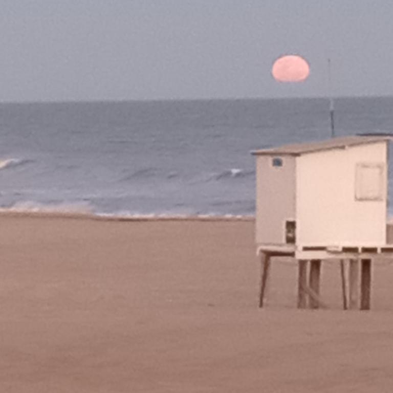Gesell Norte Mar y Bosque - B&B Villa Gesell