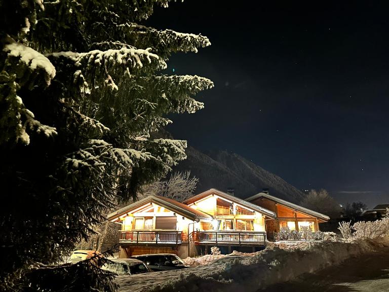 Grand chalet Le Trappeur - Chamonix - Ferienwohnung Chamonix