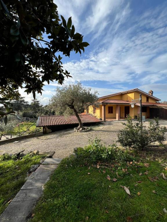 Casa Butterfly Formello Alloggio per lavoratori - Chambres d'hôtes Formello