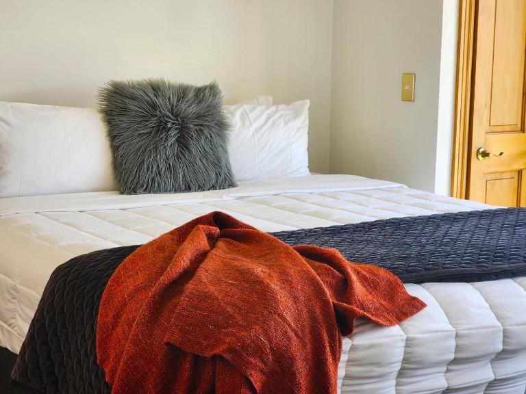 U Suites on Courtenay - B&B Wellington