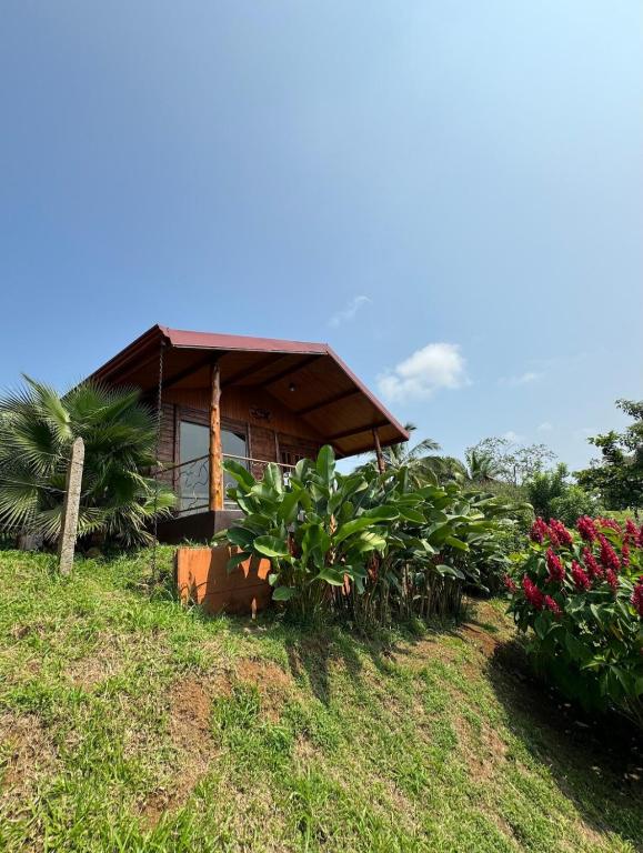 Villa Lomas Sarapiquí - B&B Colonia Carvajal