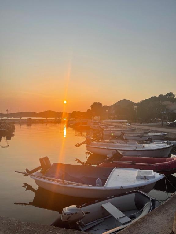 Mahar - Bed and Breakfast Molat