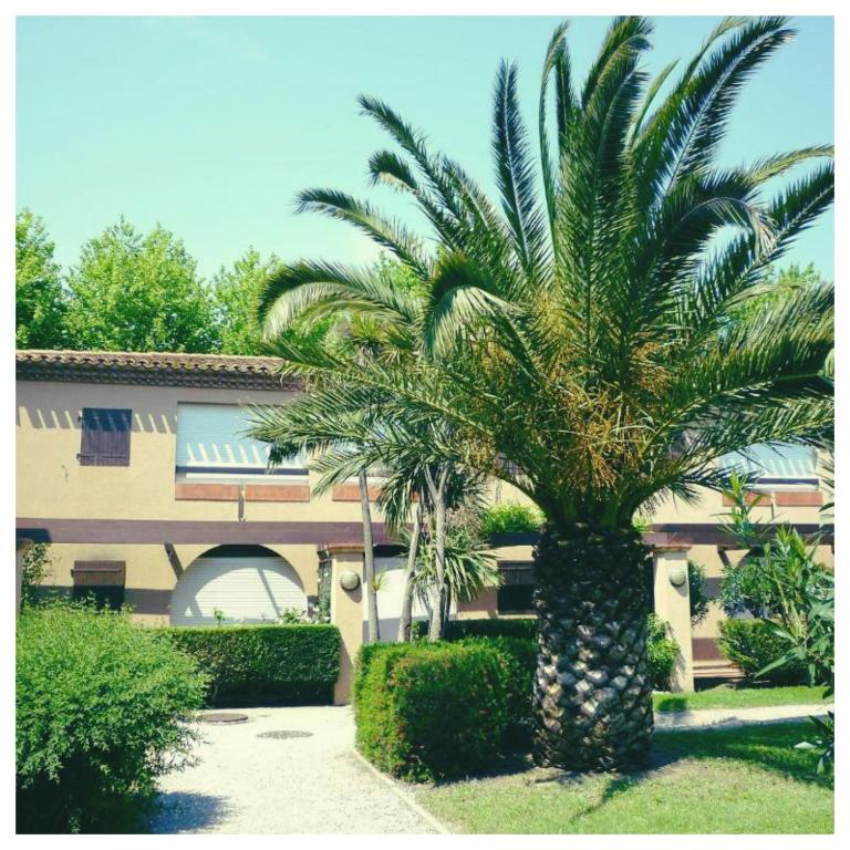 Appartement Piscine privée - B&B Saint-Cyprien-Plage