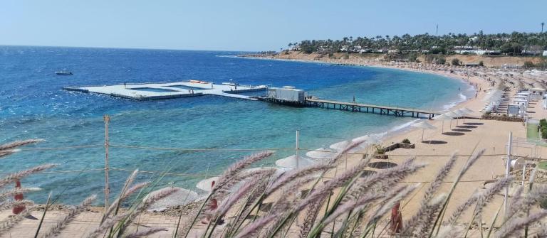 Central Acquamarine suite whit terrace - B&B Sharm el Sheikh