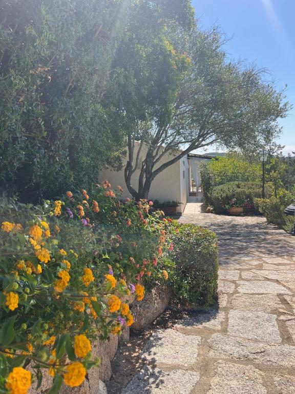 NEW Casa Singola Costa Smeralda-Porto Cervo-Pevero - B&B Porto Cervo