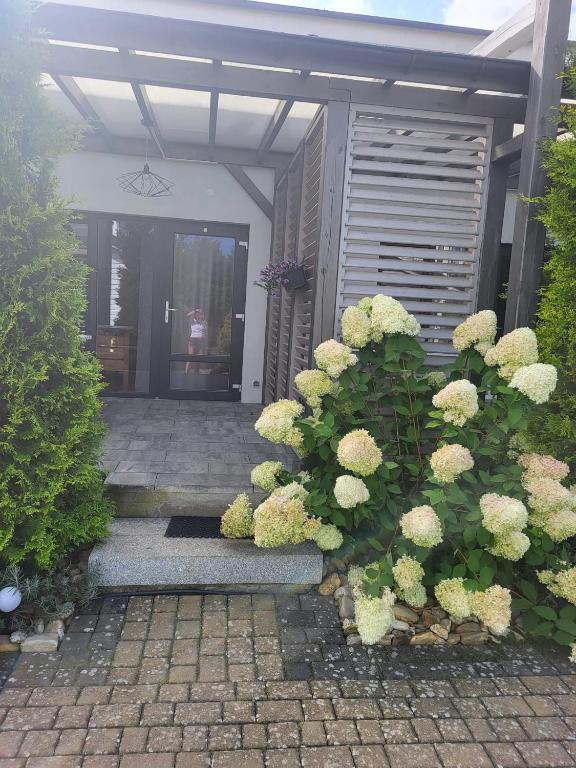 Lawendowy Zakątek - Delfin - B&B Sianożęty
