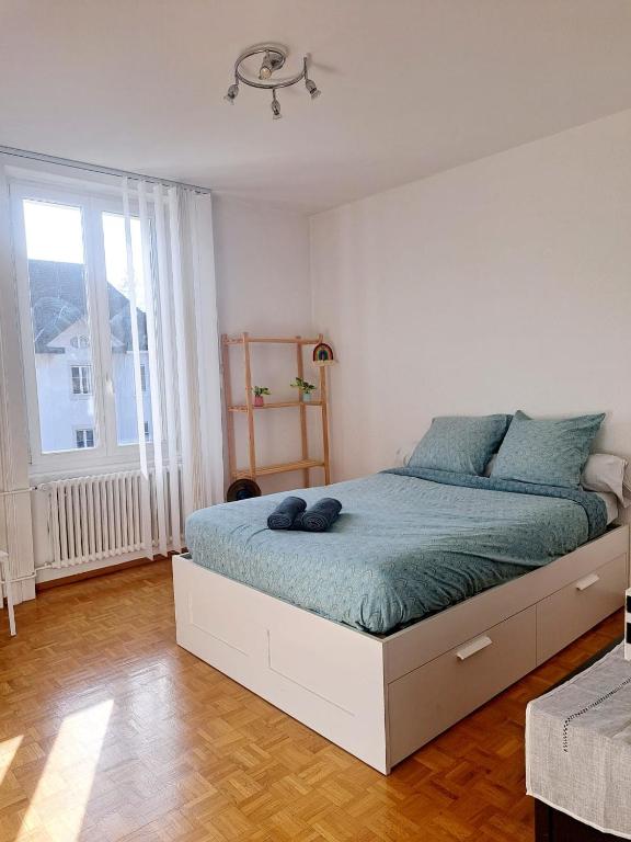 Comfortable 1 bd apt - B&B Peseux