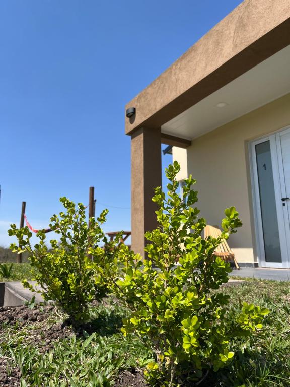 Alamos David - B&B Villaguay