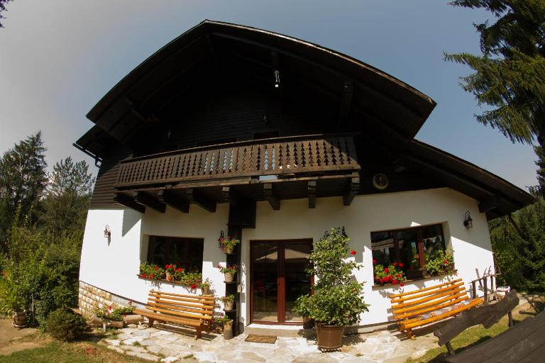 Pension Cabana Ionela - Bed and Breakfast Vama