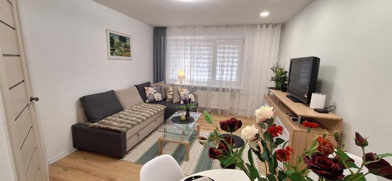 Šiauliai Central Vytauto Apartment - B&B Šiauliai