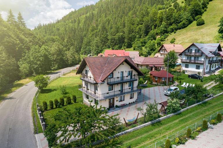 Transylvania Hut - B&B Moeciu de Sus