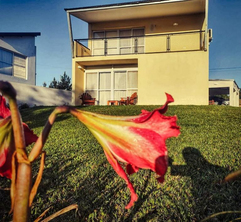 Serendipia Santa Ana - Ferienwohnung Santa Ana