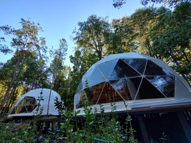 Ayün Lodge - B&B Pucón