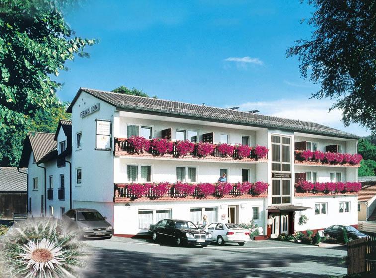 Pension und Fewo Hohe Rhön - Bed and Breakfast Gersfeld