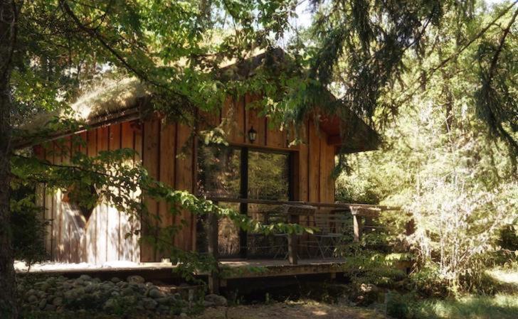 Chalet toit vegétalisé - B&B Champfromier