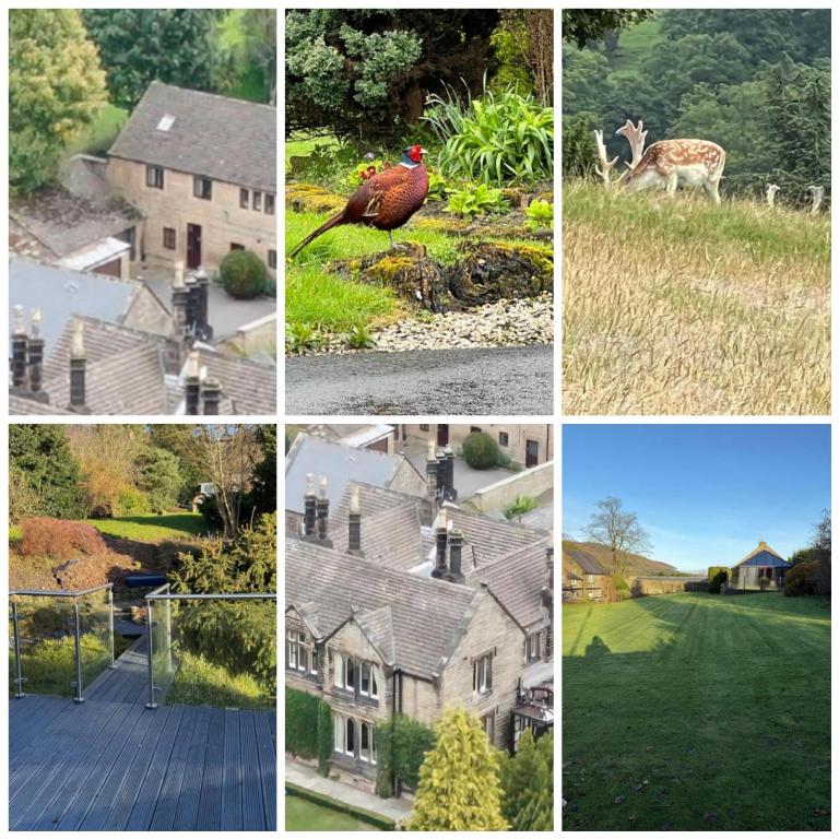 The Stables East Lodge Country House - Chambres d'hôtes Great Rowsley