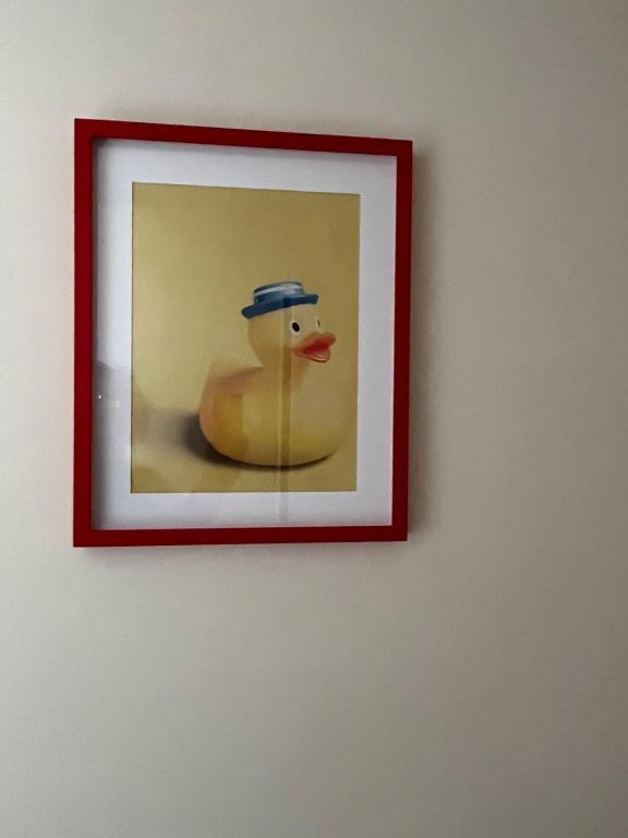Duck House Gemelli - B&B Roma