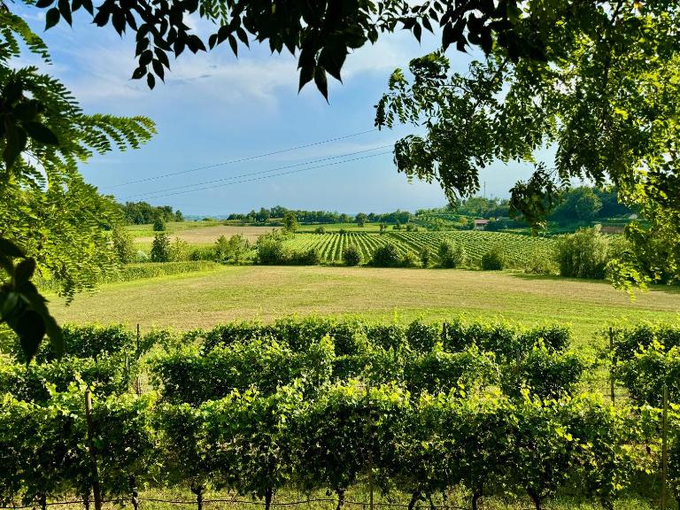 Residenza Le Vigne - B&B Pozzolengo