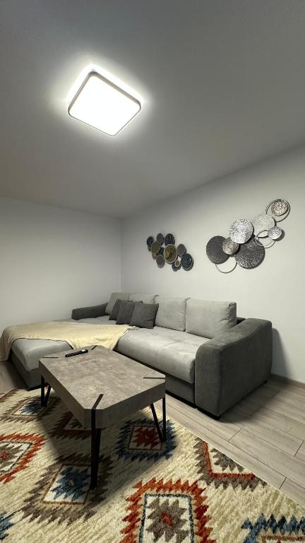 Apartamentul cu vibe de Blues - La un Do Distanta de festival - B&B Brezoi