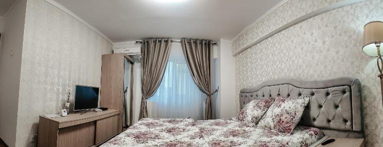 Luxury Radox Studio Buzau City Center - B&B Buzău