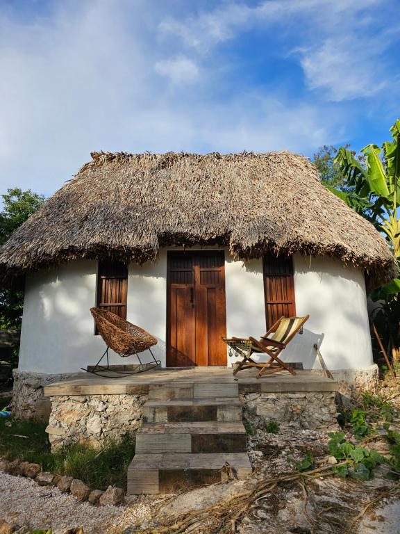 Cabañas Los Gallitos Ecolodge - B&B Sacalum