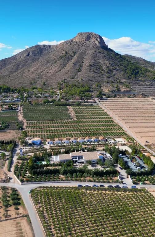 Bellevall resort, hotel y apartamentos - B&B Aspe