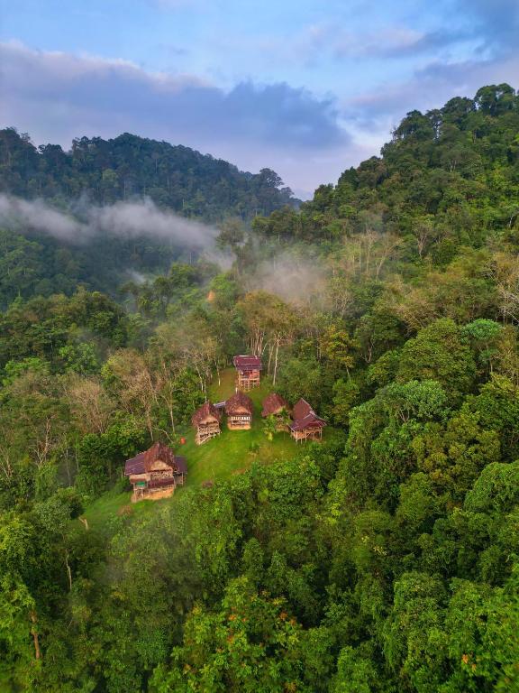 ORANGUTANTREKSUMATRA & LOVELY JUNGLE LODGE only book IF you are treking with us - Chambres d'hôtes Bukit Lewang