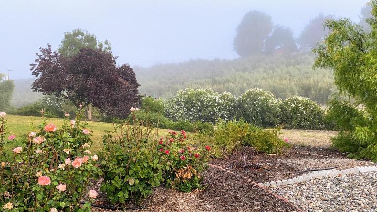 Vista Vine Cottage - B&B San Miguel
