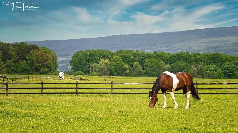 Letchworth Farm Guesthouses - B&B Nunda