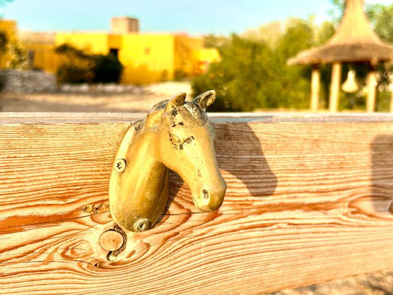 Eco-Ranch Salomé - Chambres d'hôtes Sidi Kaouki