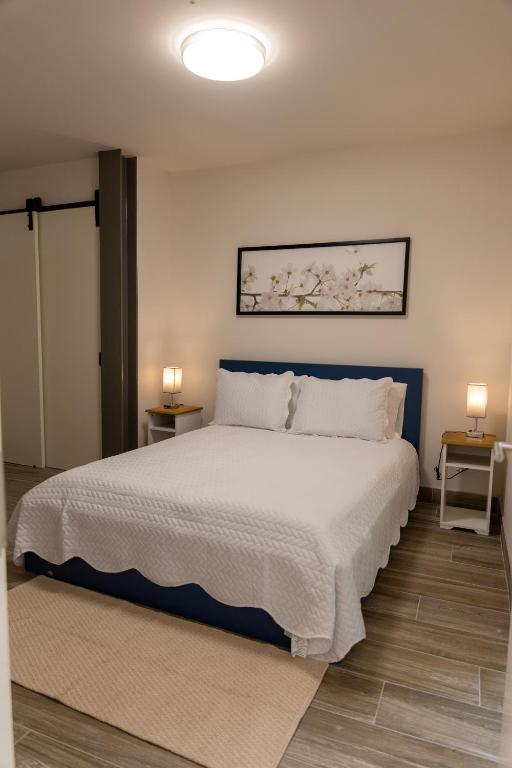 Urban Oasis 1BR Saltwater Pool nr Casco - B&B Panama City