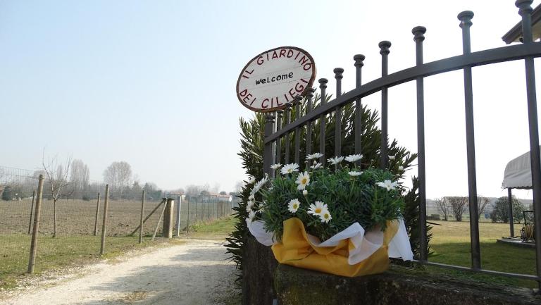 Il Giardino dei Ciliegi appartamento con 3 camere - Chambres d'hôtes Passarella