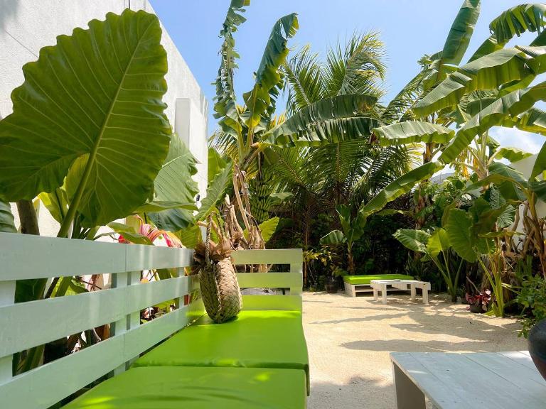 Veli garden thoddoo - Chambres d'hôtes Thoddoo