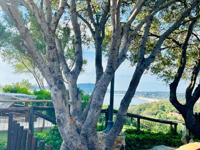 Villa Azzurra a due passi dal mare - B&B Is Traias